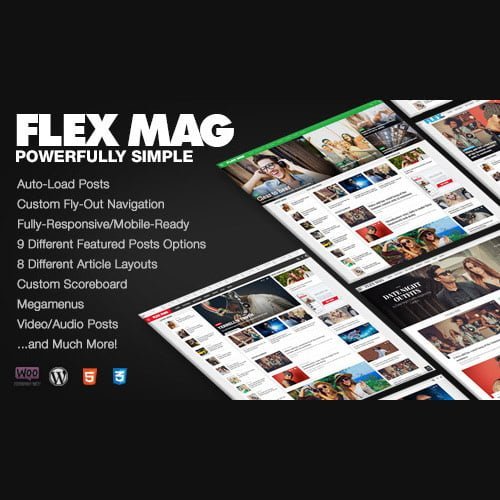 Flex-Mag-Responsive-WordPress-News-Theme.jpg
